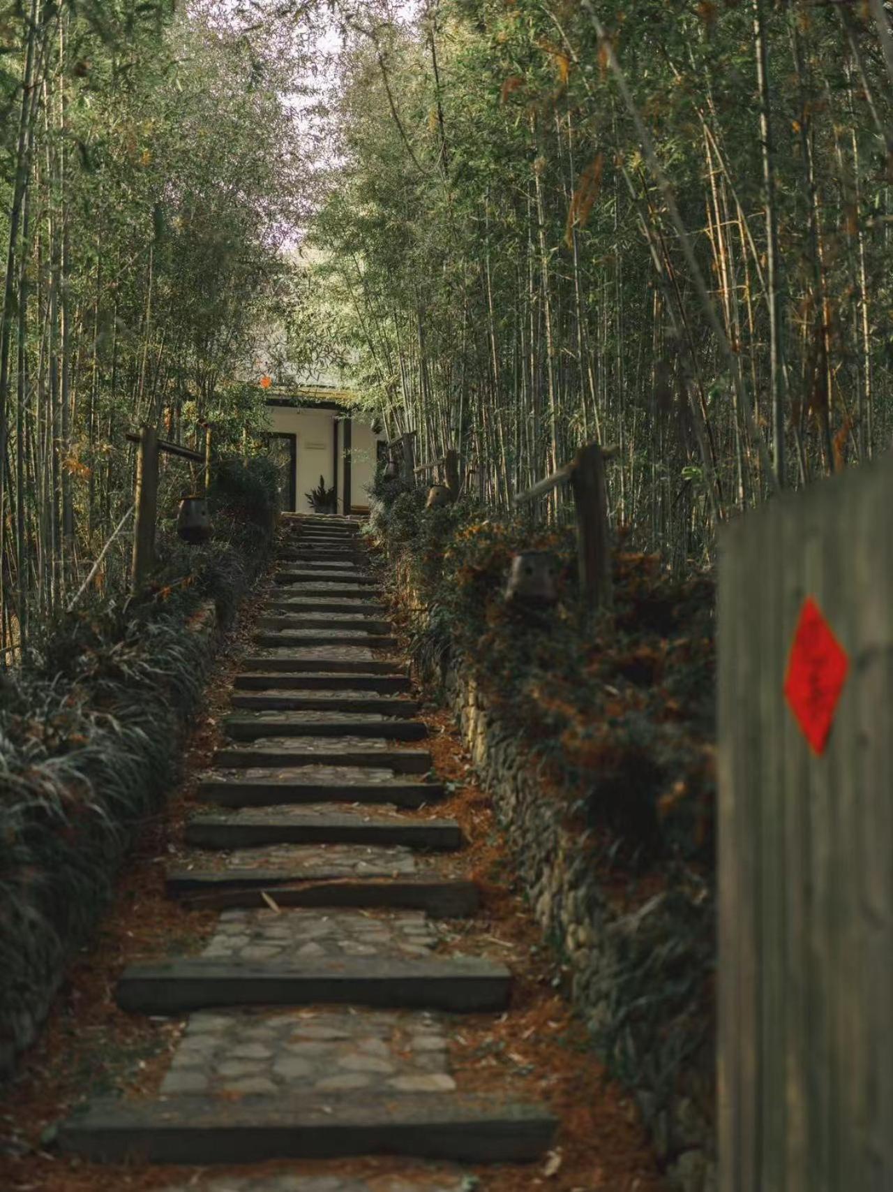 July Bamboo Hostel Deqing Экстерьер фото