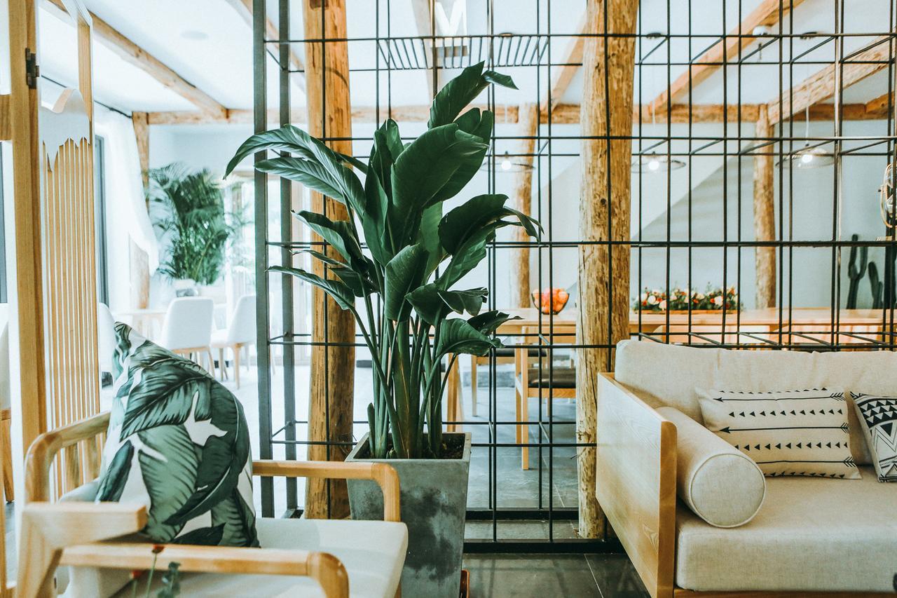 July Bamboo Hostel Deqing Экстерьер фото