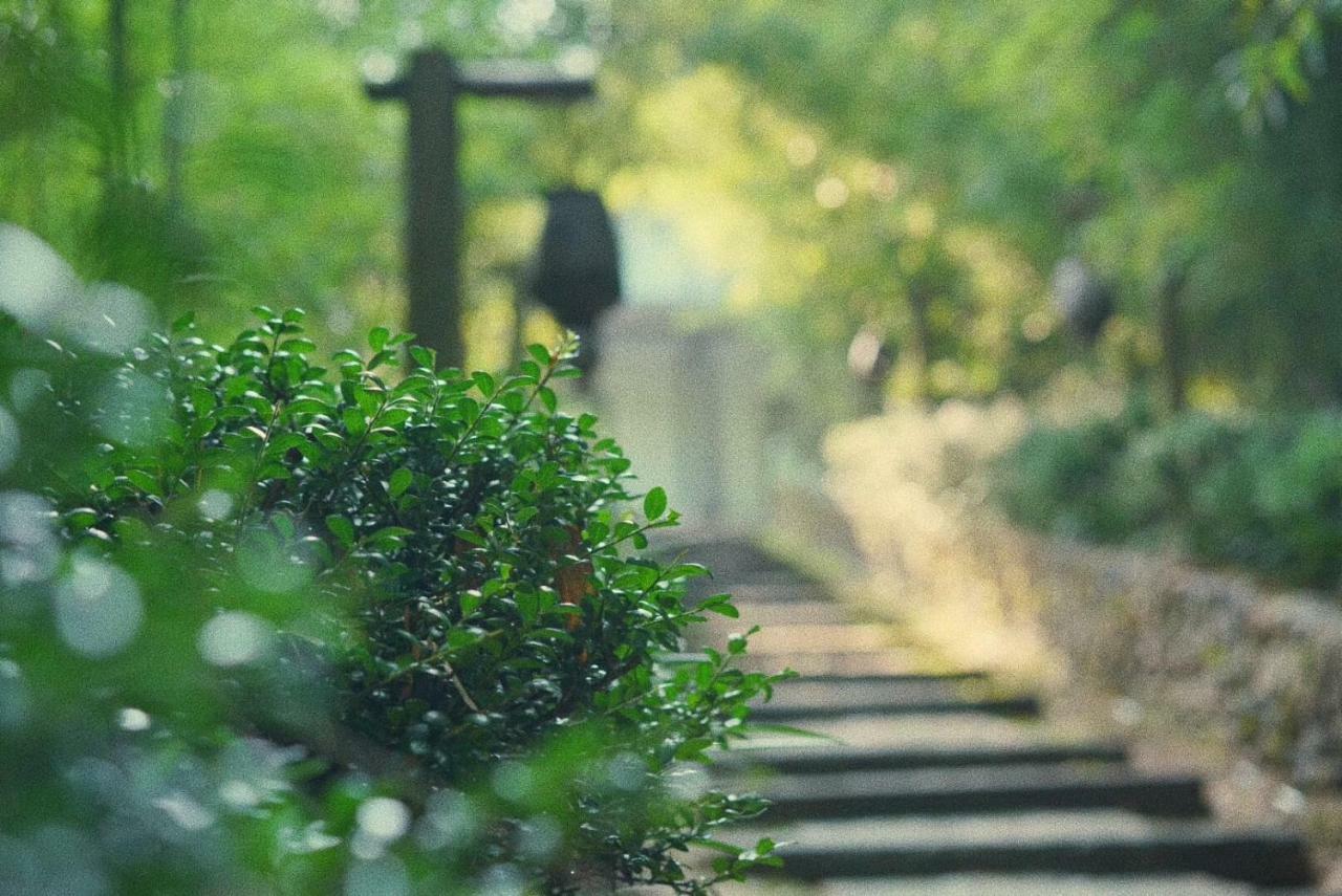 July Bamboo Hostel Deqing Экстерьер фото